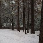 Meadow Pines Estates