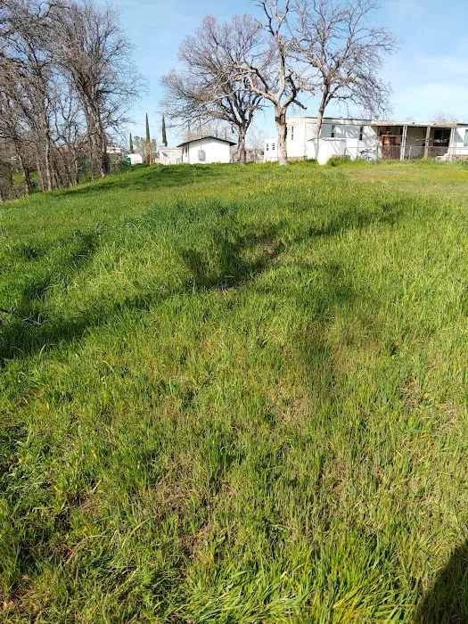 Red Hill Mobile Home Park Picture 2