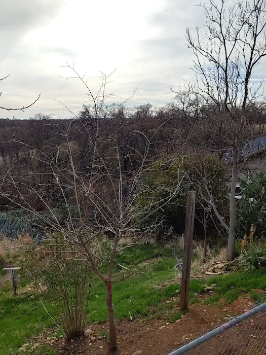 Red Hill Mobile Home Park Picture 10