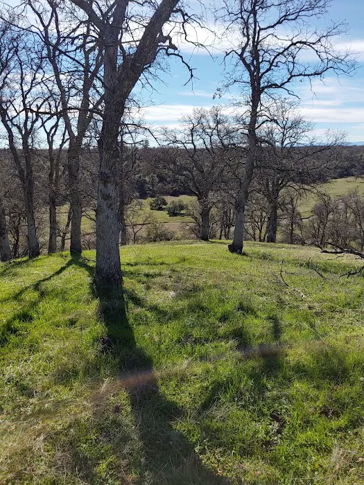 Red Hill Mobile Home Park Picture 9