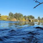 Roosters Landing Fishing Resort