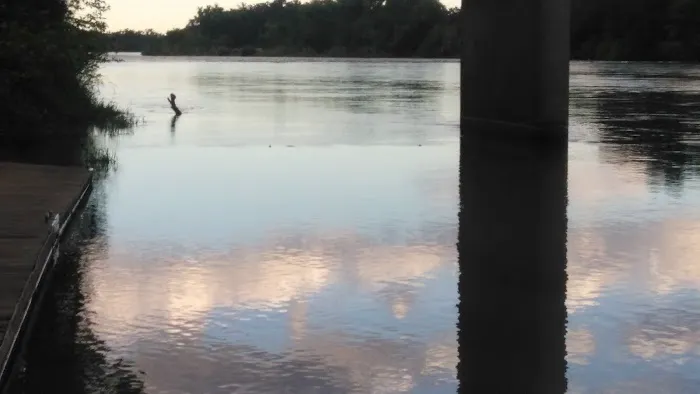 Roosters Landing Fishing Resort Picture 9