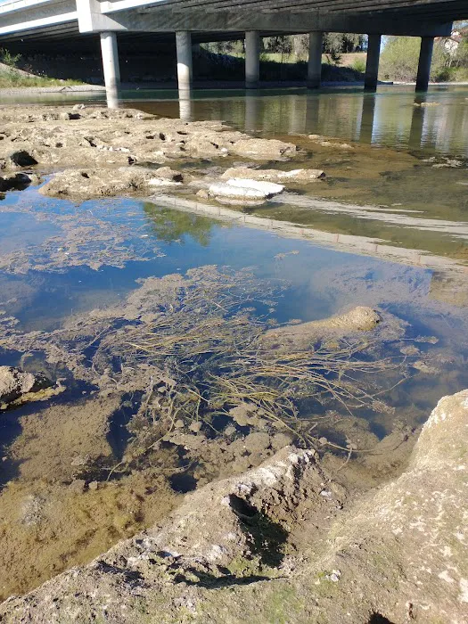 El Rio Estates Picture 5