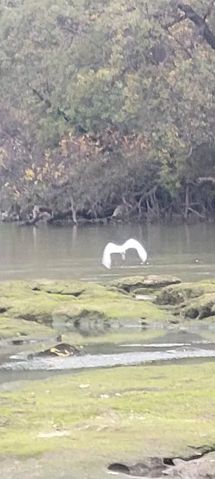 El Rio Estates Picture 7