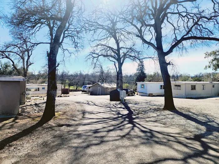 Anderson Mobile Home Park Picture 7