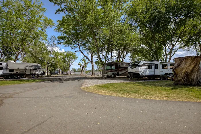 Sacramento River RV Park Picture 7