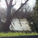 Riverland Mobilehome Ranch