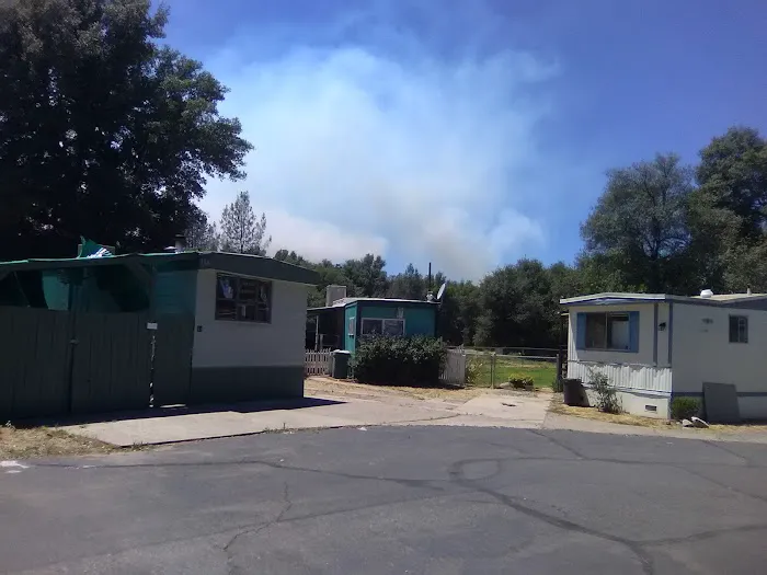 Bixby Knolls Mobile Home Park Picture 7