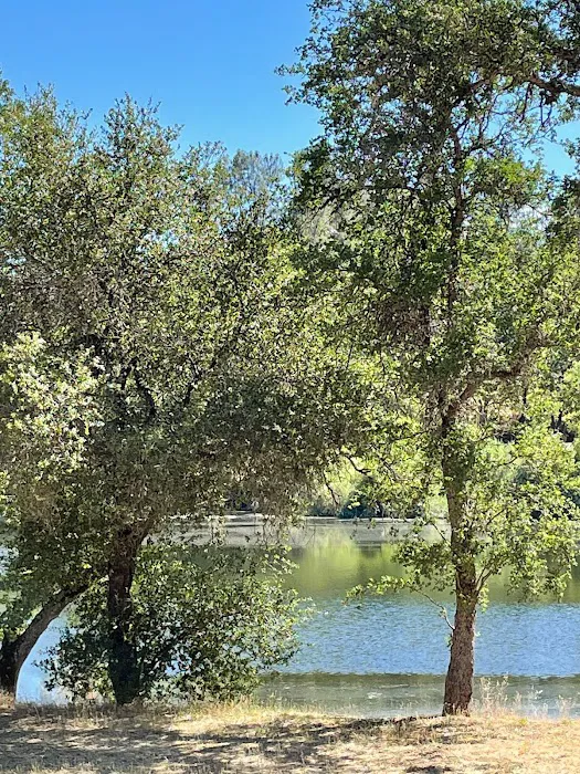 Beach Lake Village Picture 4