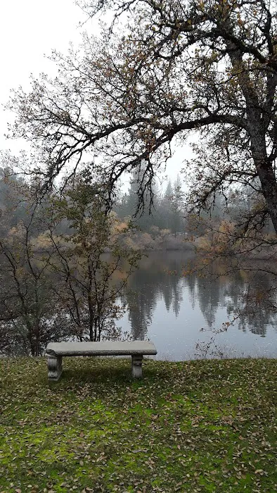 Beach Lake Village Picture 10