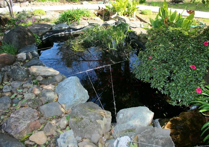 Green Acres RV Park Picture 5