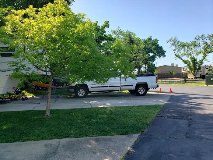 Green Acres RV Park Picture 6