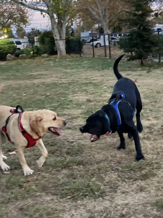 Green Acres RV Park Picture 7