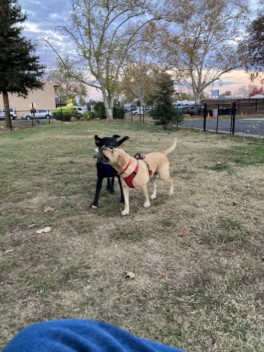 Green Acres RV Park Picture 10