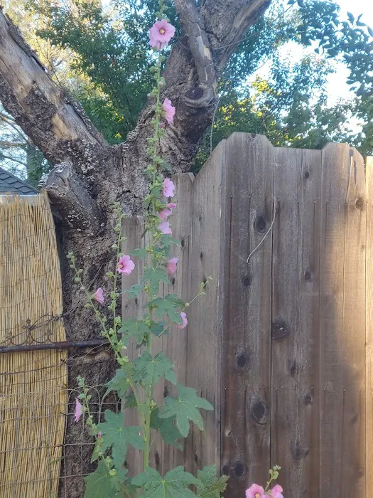 Redding Village Mobile Home Park Picture 10