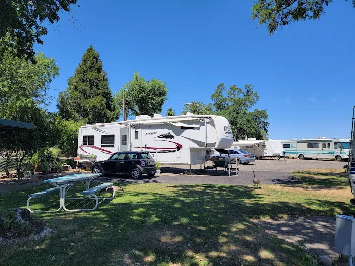 Marina RV Park Picture 1