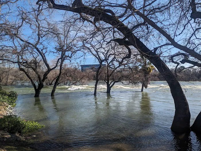 Marina RV Park Picture 7