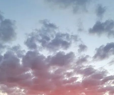 Frogtown RV Park & Calaveras