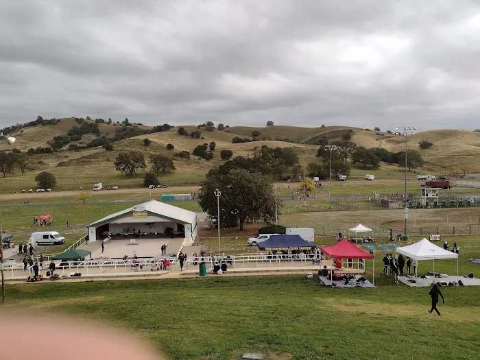 Frogtown RV Park & Calaveras Picture 2