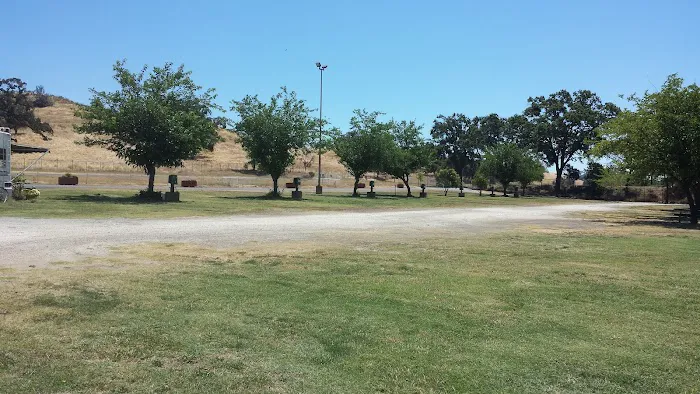 Frogtown RV Park & Calaveras Picture 4