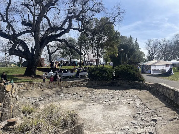 Frogtown RV Park & Calaveras Picture 3