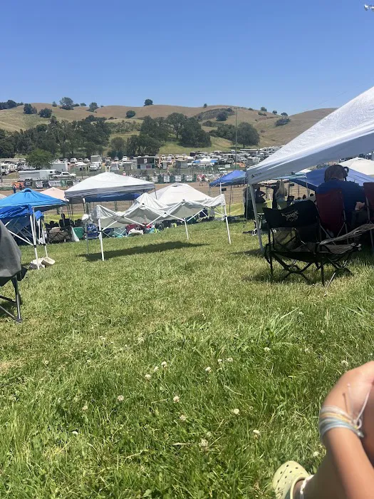 Frogtown RV Park & Calaveras Picture 7