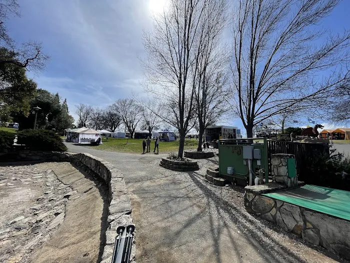 Frogtown RV Park & Calaveras Picture 9