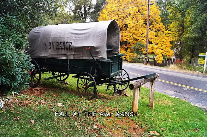 49er RV Ranch Picture 5