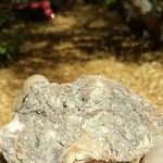 Columbia Mobile Home Park LLC