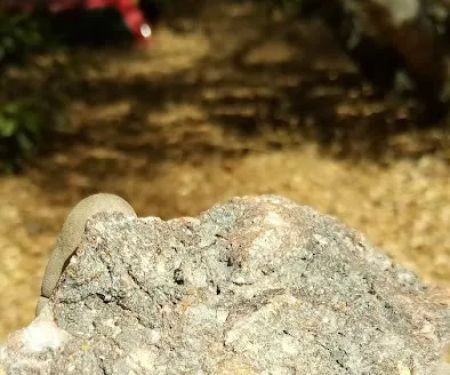 Columbia Mobile Home Park LLC