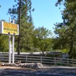 Gold Rush Mobile Home Park