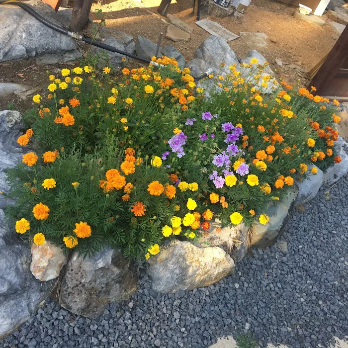 Gold Rush Mobile Home Park Picture 9