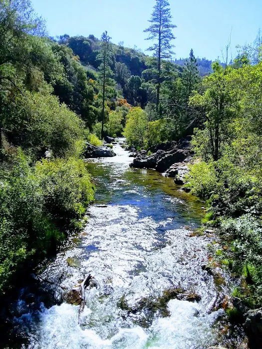 Columbia RV Park Picture 6