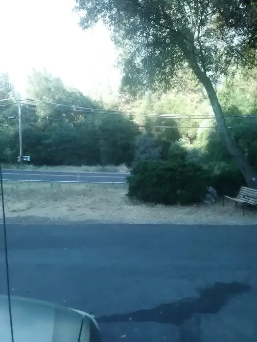 Columbia RV Park Picture 7
