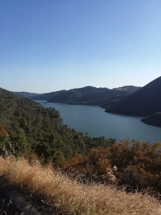 Columbia RV Park Picture 9