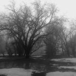 Ponderosa Mobile Home Park