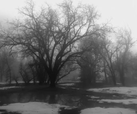 Ponderosa Mobile Home Park