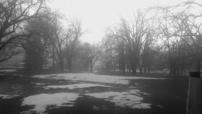 Ponderosa Mobile Home Park Picture 5
