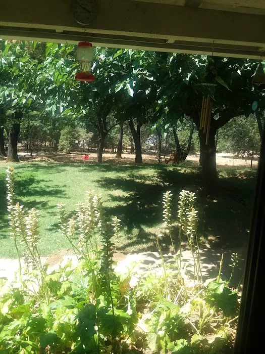 Hidden Valley Trailer Park Picture 10