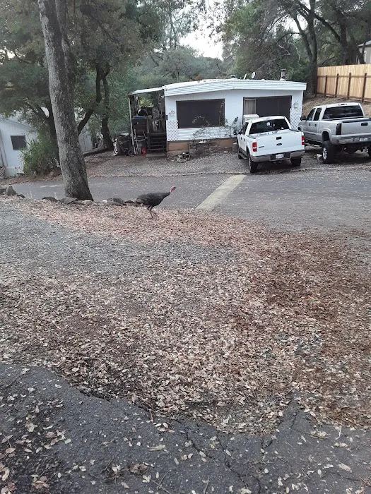Star Mobile Estates Picture 9