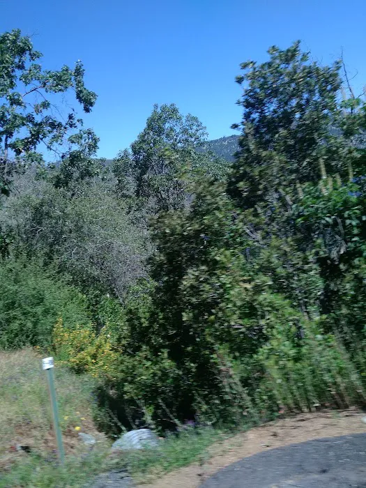Star Mobile Estates Picture 8