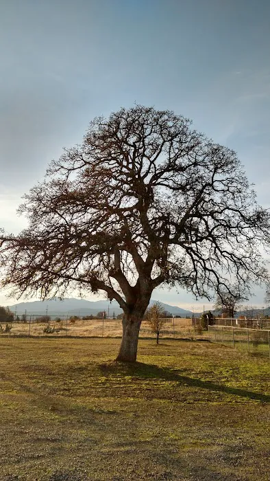 Redding Hilltop Estates Picture 3