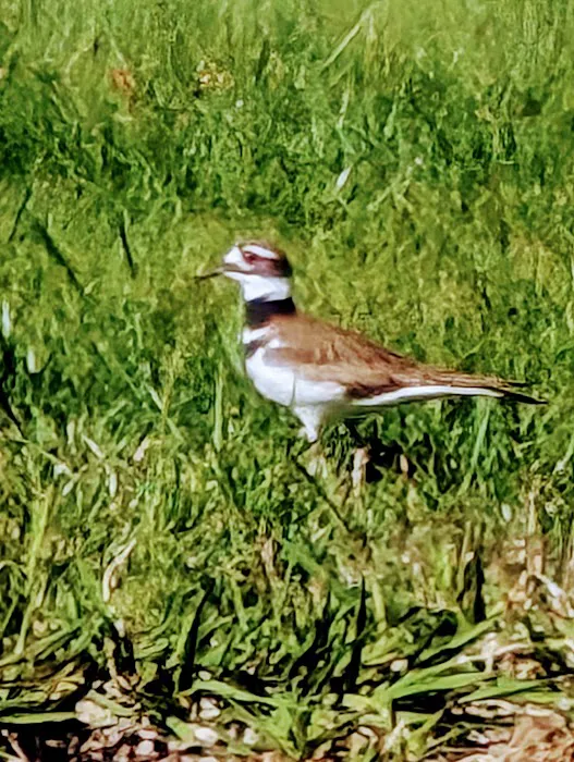 Redding Hilltop Estates Picture 6