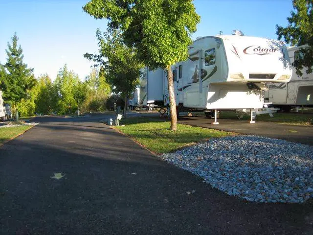 Redding RV Park Picture 3