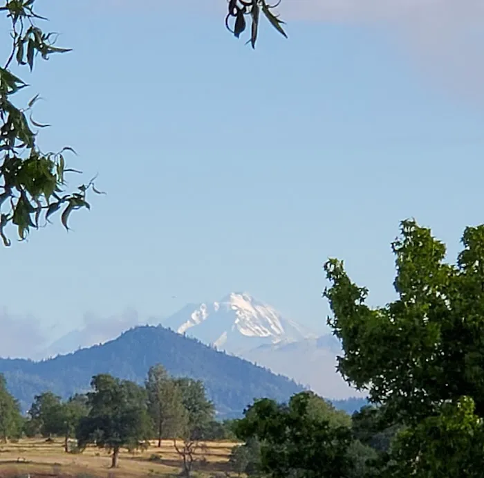 Redding RV Park Picture 4