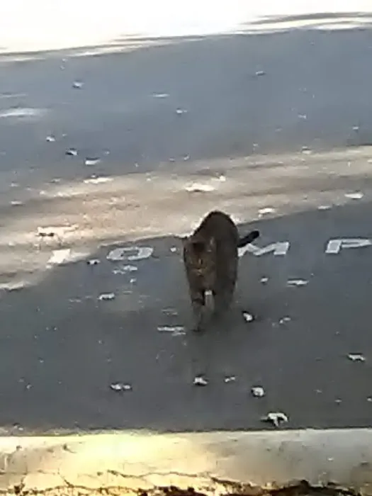 Twn Peeks Mobile Home Parkway Picture 2