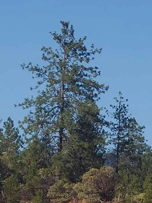 Twn Peeks Mobile Home Parkway Picture 8