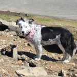 Twin View Mobile Home Park