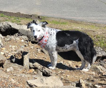 Twin View Mobile Home Park