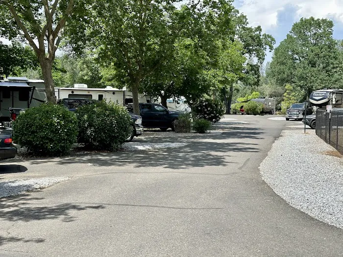 Boulder Creek RV Resort Picture 6